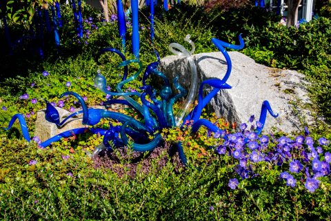 Chihuly Glass & Garden, Seattle