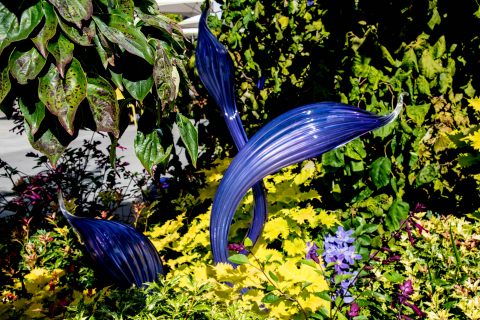 Chihuly Glass & Garden, Seattle,