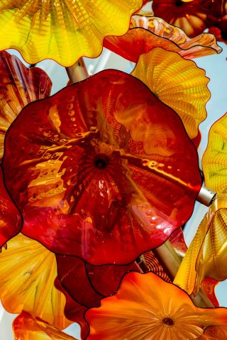 Chihuly Glass & Garden, Seattle,