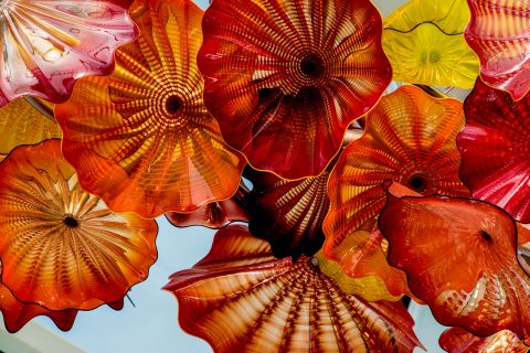 Chihuly Glass & Garden, Seattle,
