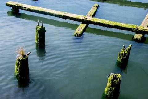 Wharves, Columbia River, Astoria