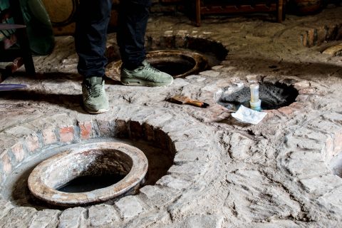 Kvevri pots in the floor with wine, Telavi