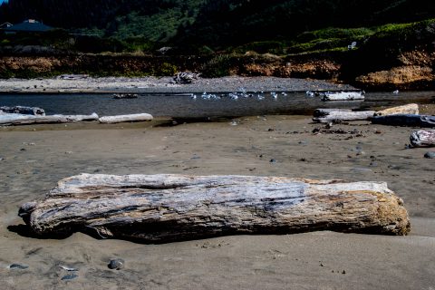 Stonefield Beach, Oregon