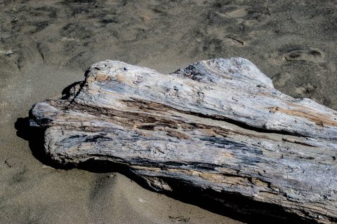 Stonefield Beach, Oregon