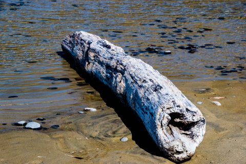 Stonefield Beach, Oregon