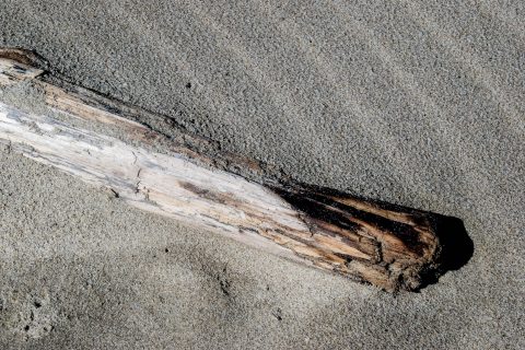 Stonefield Beach, Oregon