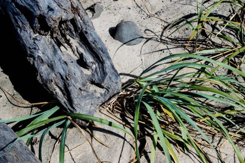 Stonefield Beach, Oregon