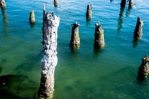 Remains of town jetty, Florence