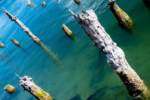 Remains of town jetty, Florence