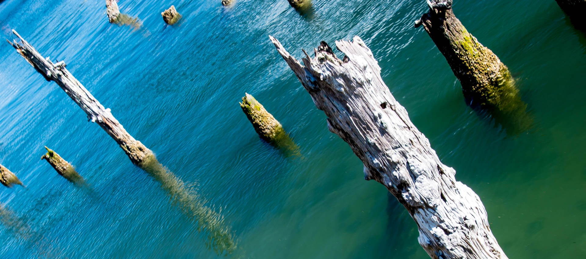 Remains of town jetty, Florence