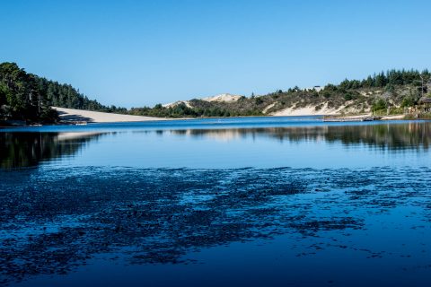 Sand dunes, Honeyman Memorial SP, Oregon