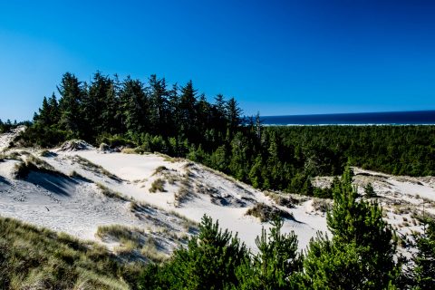 Oregon Dunes Overlook, Oregon