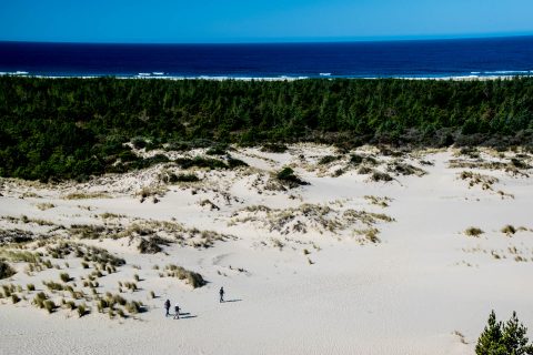 Oregon Dunes Overlook, Oregon