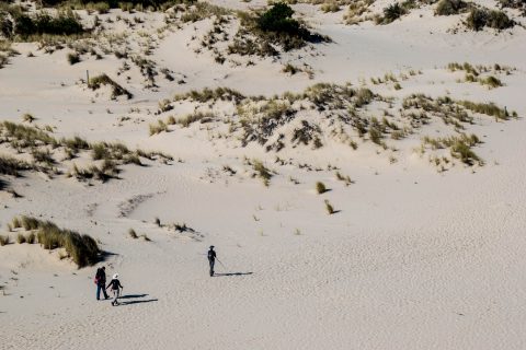 Oregon Dunes Overlook, Oregon
