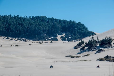 Umpqua Dunes with quad bikes, Oregon
