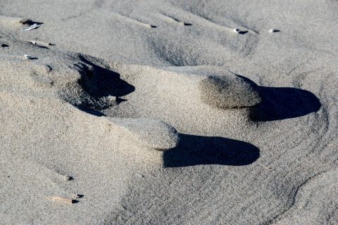 Bandon beach. Oregon