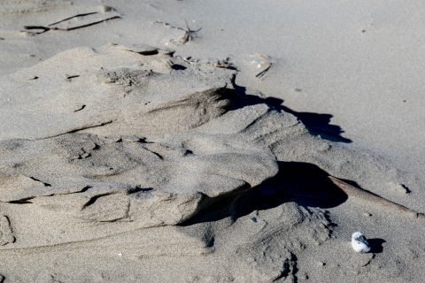 Bandon beach. Oregon