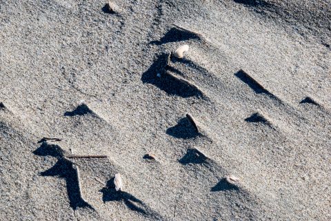 Bandon beach. Oregon