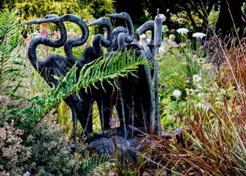 Mendocino Botanical Gardens, California