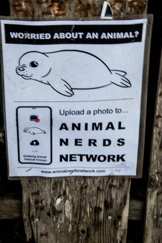 Poster, Mendocino, California