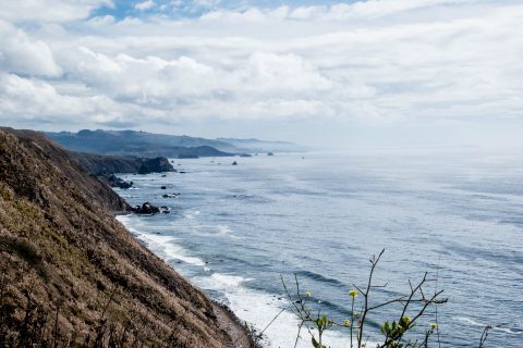 Coast near Fort Ross, California