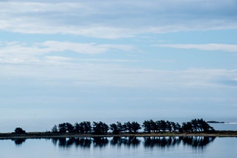 Bodega Bay, California