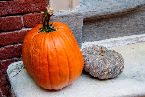 Elfreth's Alley's pumpkin, Philadelphia