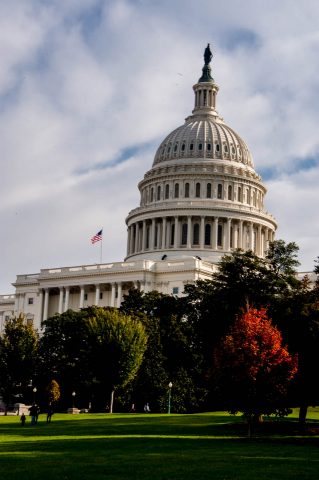 US Capitol, Washington DC