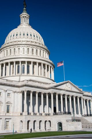 The Capitol, Washington DC