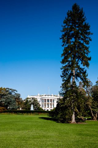 The White House, Washington DC