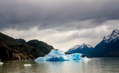 Iceberg, Lago Grey, Torres del Paine National Park, Chile