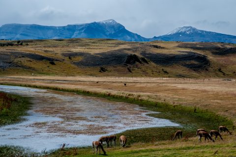Laguna Azal, Torres del Paine National Park, Chile