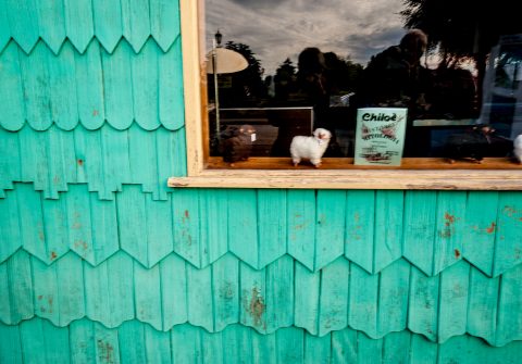 Wood-shingled houses, Chacao, Chiloe, Chile