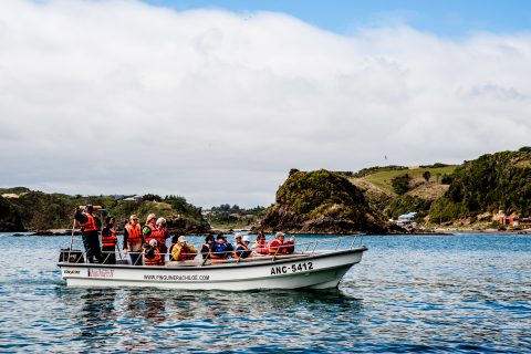 Pinguinera Punihuil visit boat, Chiloe, Chhile