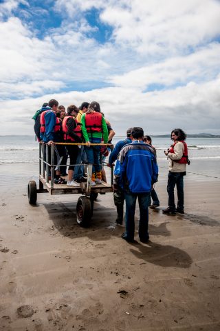 Embarking on Pinguinera Punihuil boat, Chiloe, Chhile
