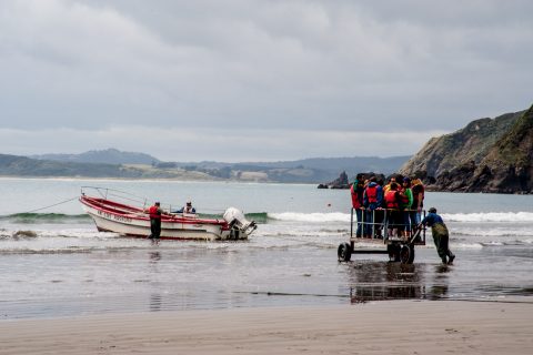 Embarking on Pinguinera Punihuil boat, Chiloe, Chhile