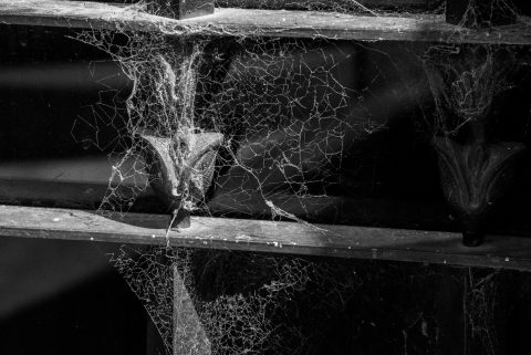 Cobwebs on tomb,  Cementerio de la Recoleta, Buenos Aires, Argen
