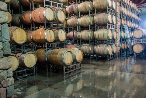 Finca Decero, Mendoza, Argentina