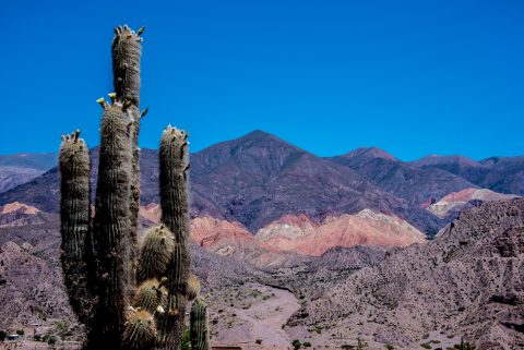 Humahuaca Gorge, Argentina