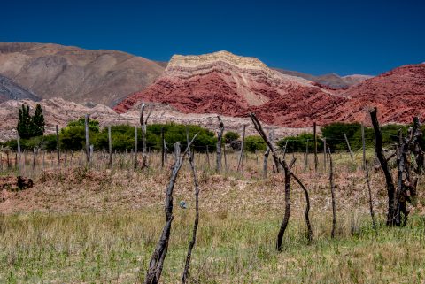Quebrada de Humahuaca near Uquia, Argentina