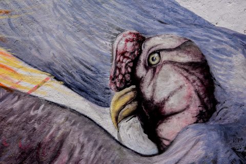 House decoration Humahuaca, Argentina