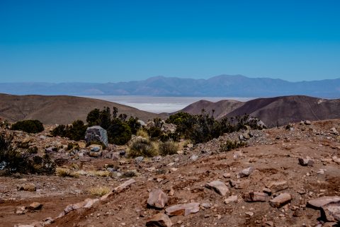 Salinas Grandes, Altiplano, Argentina, Altiplano