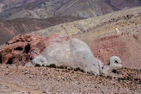 Tortoise rock, Altiplano, Argentina