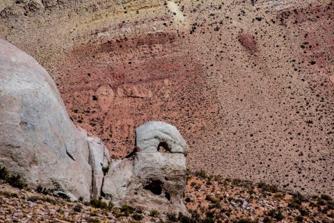 Tortoise rock, Altiplano, Argentina