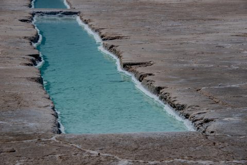 Salinas Grandes, Altiplano, Argentina, Altiplano