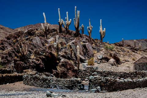 Esquina, Salt flats, Altiplano, Argentina