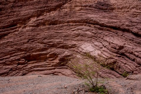 Ampitheatre, Quebrada de las Conches, Argentina