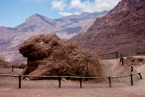 El Sapo (the Toad), Quebrada de las Conchas, Argentina