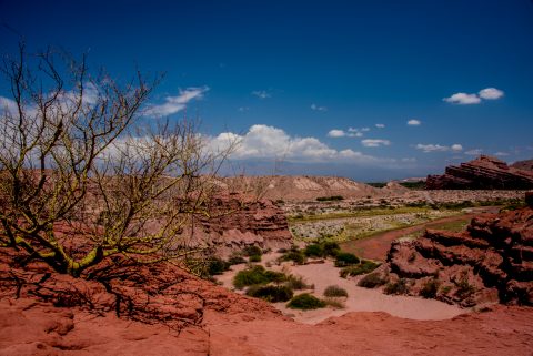 Quebrada de las Conchas, Cafayate, Argentina