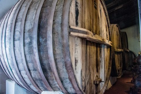Bodega La Banda - oak barrel - Cafayate, Argentina